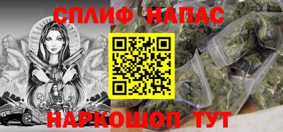 гашик Дубна