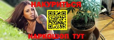 гашик Дубна