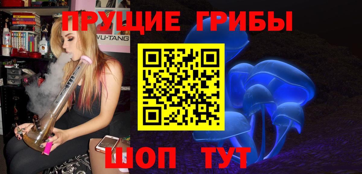 Псилоцибиновые грибы Psilocybe  Вход с VPN  Псилоцибиновые грибы ЛСД  Луга 