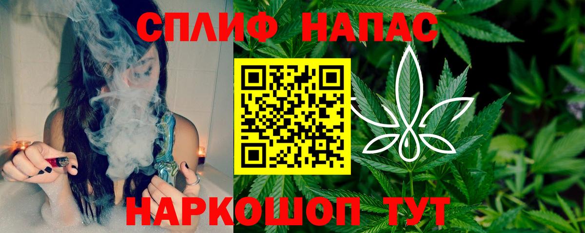 Конопля план Луга